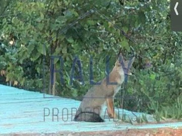 Imagen 12