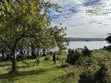 Imagen 8