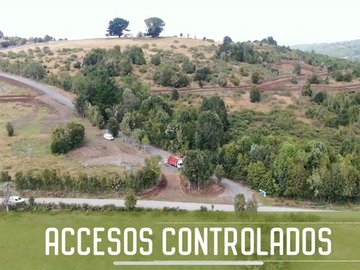 Imagen 7