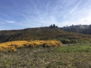 Venta / Parcela / Castro
