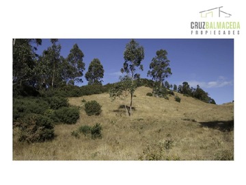 Imagen 9