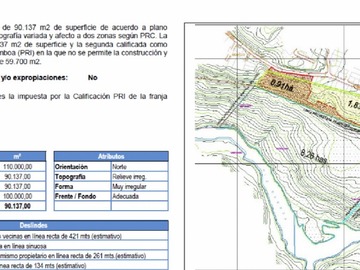 Imagen 12