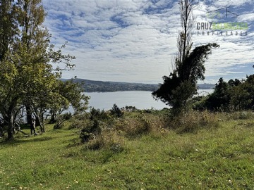 Imagen 6