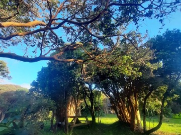 Venta / Parcela / Castro