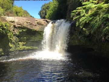 Venta / Parcela / Castro