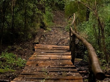 Imagen 7