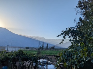 Pequeña casa con viñedo