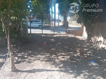 Imagen 12