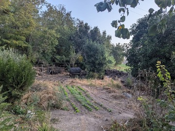 Patio de casa con material ligero