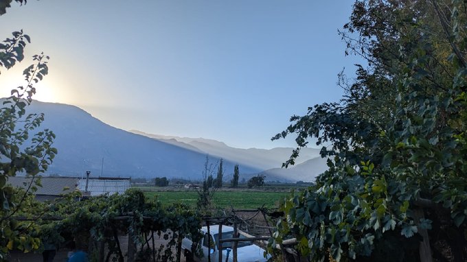 Pequeña casa con viñedo