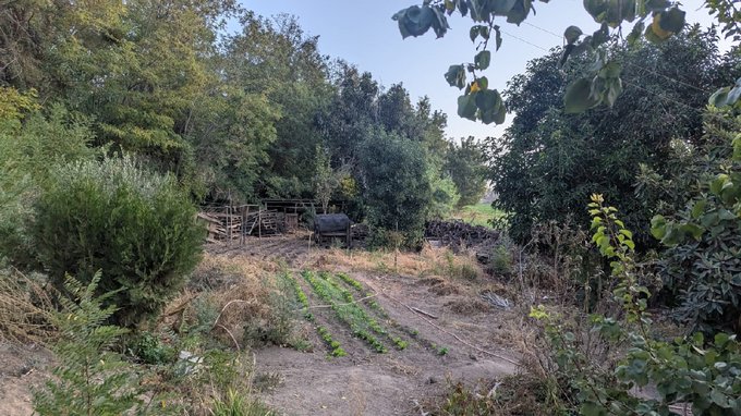 Patio de casa con material ligero