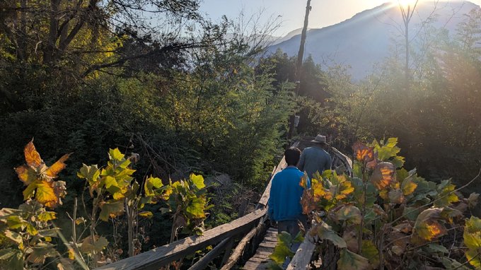 Puente de acceso peatonal desde camino público