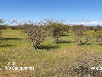 Venta / Parcela / Cauquenes
