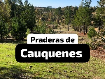 Venta / Parcela / Cauquenes