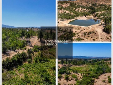 Venta / Parcela / Cauquenes