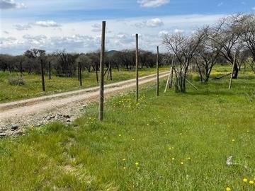 Venta / Parcela / Cauquenes