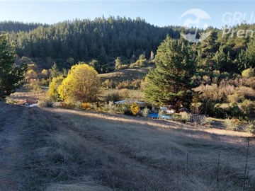 Imagen 11