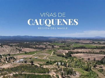 Venta / Parcela / Cauquenes