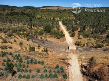 Venta / Parcela / Cauquenes