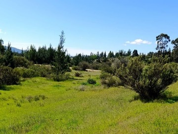 Venta / Parcela / Cauquenes