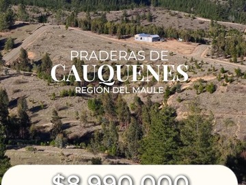 Venta / Parcela / Cauquenes