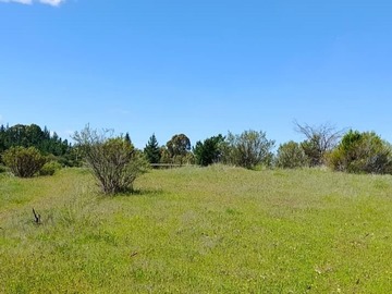 Venta / Parcela / Cauquenes