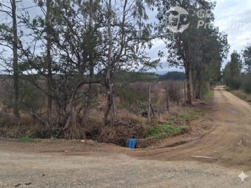 Venta / Parcela / Cauquenes