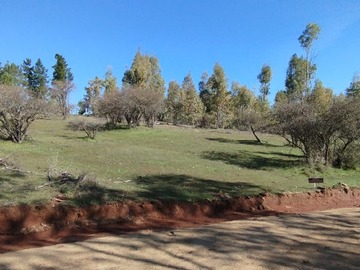 Imagen 5
