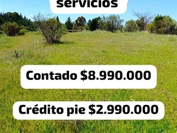 Venta / Parcela / Cauquenes