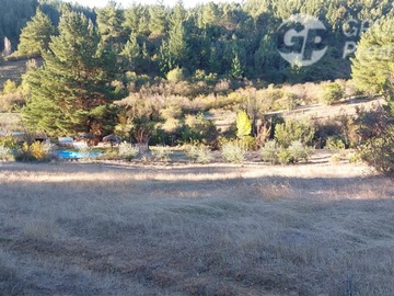 Imagen 9