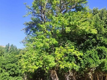 Imagen 6