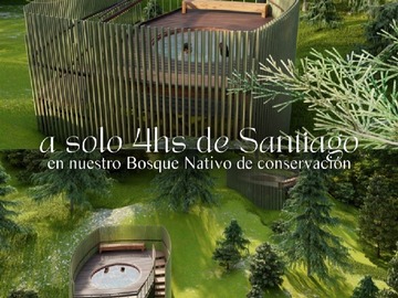 Imagen 8