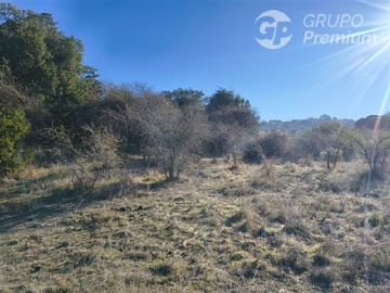 Venta / Parcela / Chépica