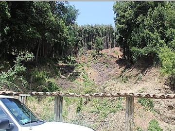 Imagen 7