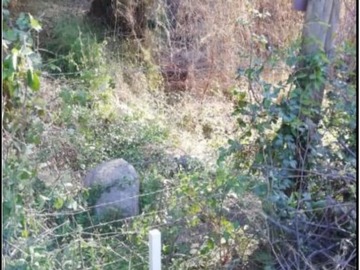 Imagen 6