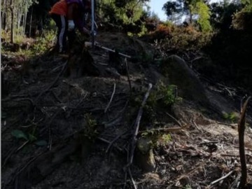 Imagen 5