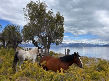 Venta / Parcela / Chile Chico