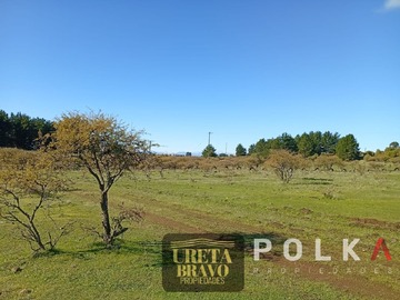 Imagen 14