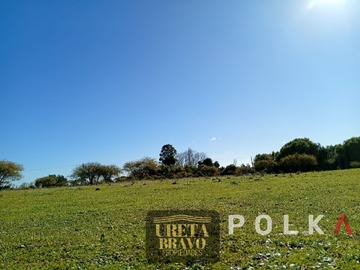 Imagen 10