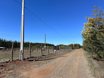 Venta / Parcela / Chillán Viejo