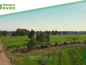 Venta / Parcela / Chillán Viejo