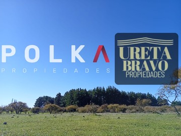 Venta / Parcela / Chillán Viejo