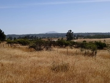 Venta / Parcela / Chillán Viejo