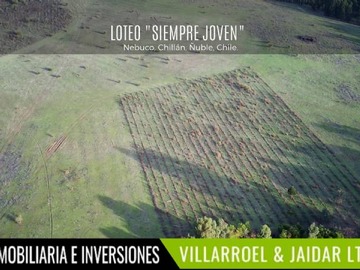 Venta / Parcela / Chillán Viejo