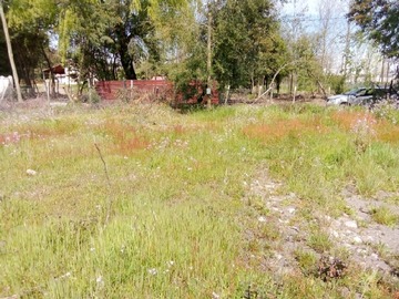 Imagen 18