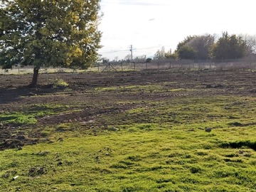 Venta / Parcela / Chillán