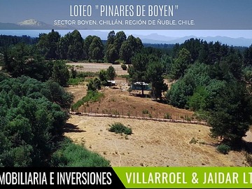 Imagen 6