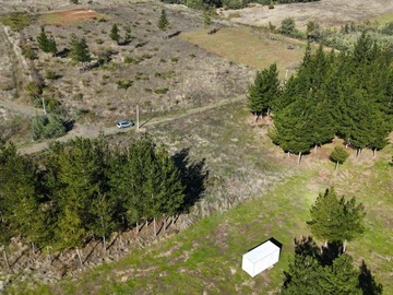 Imagen 6