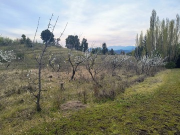 Imagen 11