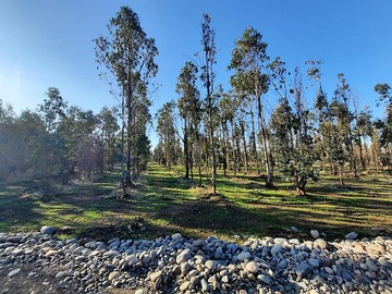 Venta / Parcela / Chillán